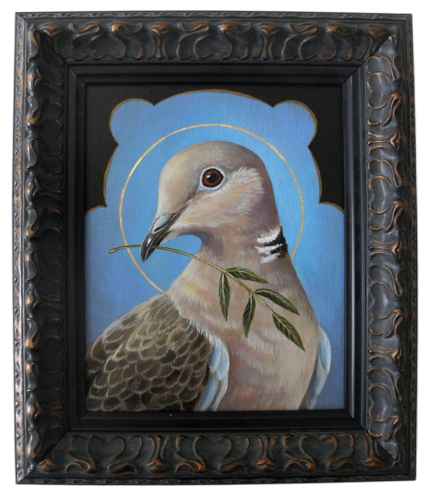 Collared Dove of Peace