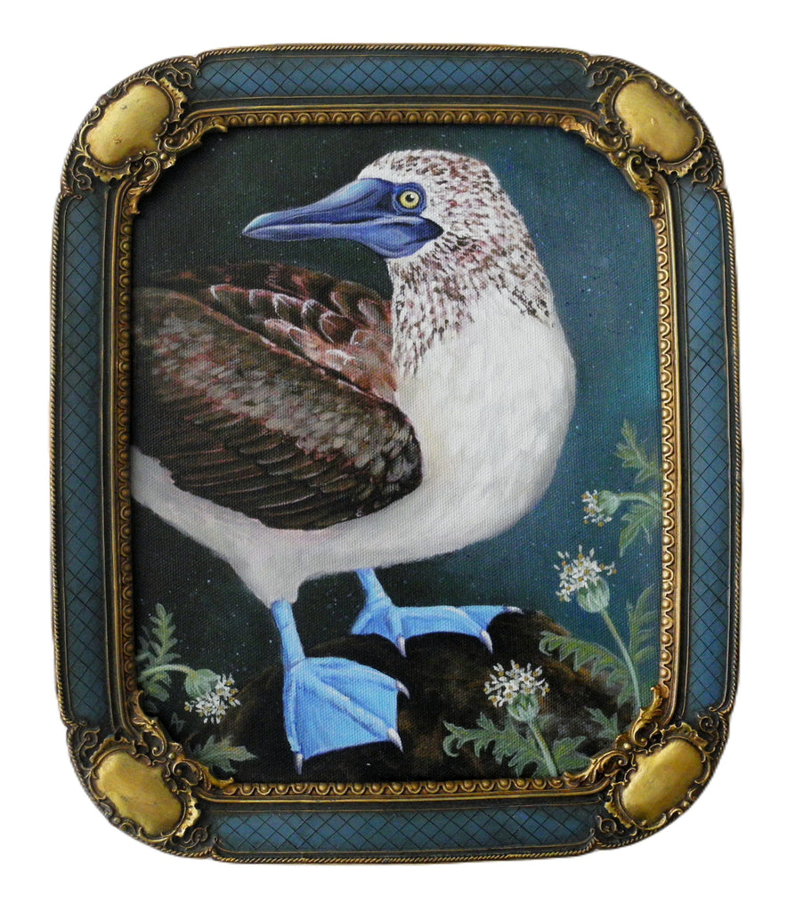 Blue Footed Booby 8x10
