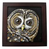 endangered species spotted owl artwork, rustic wildlife painting