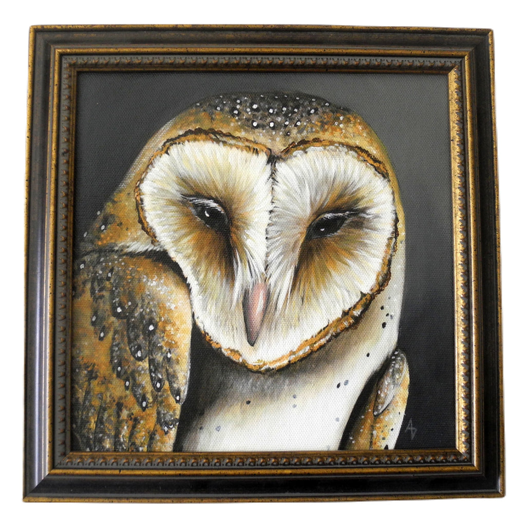 Barn Owl Square