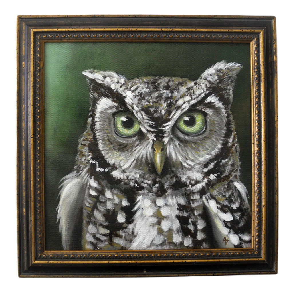 Screech Owl Square