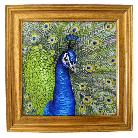 Peacock 8x8