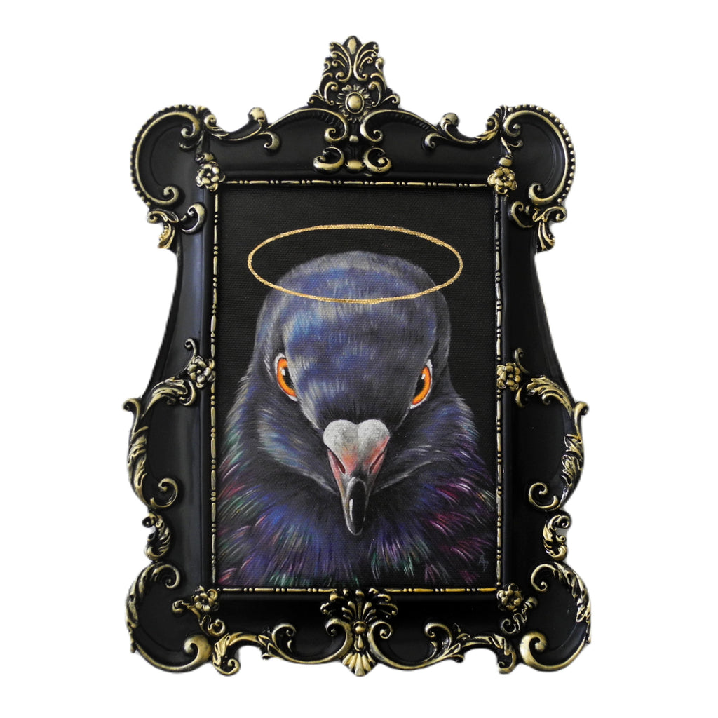Pigeon Saint