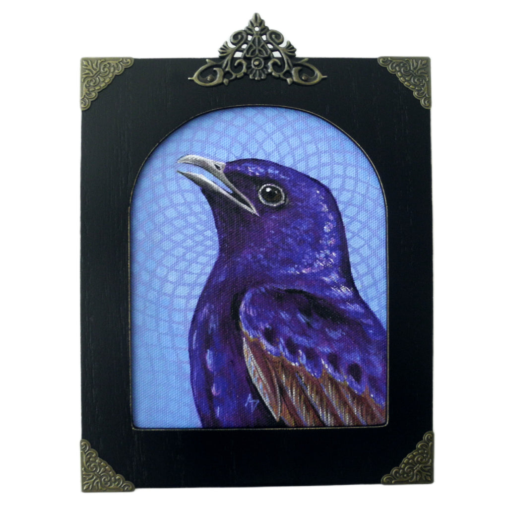 Purple Martin