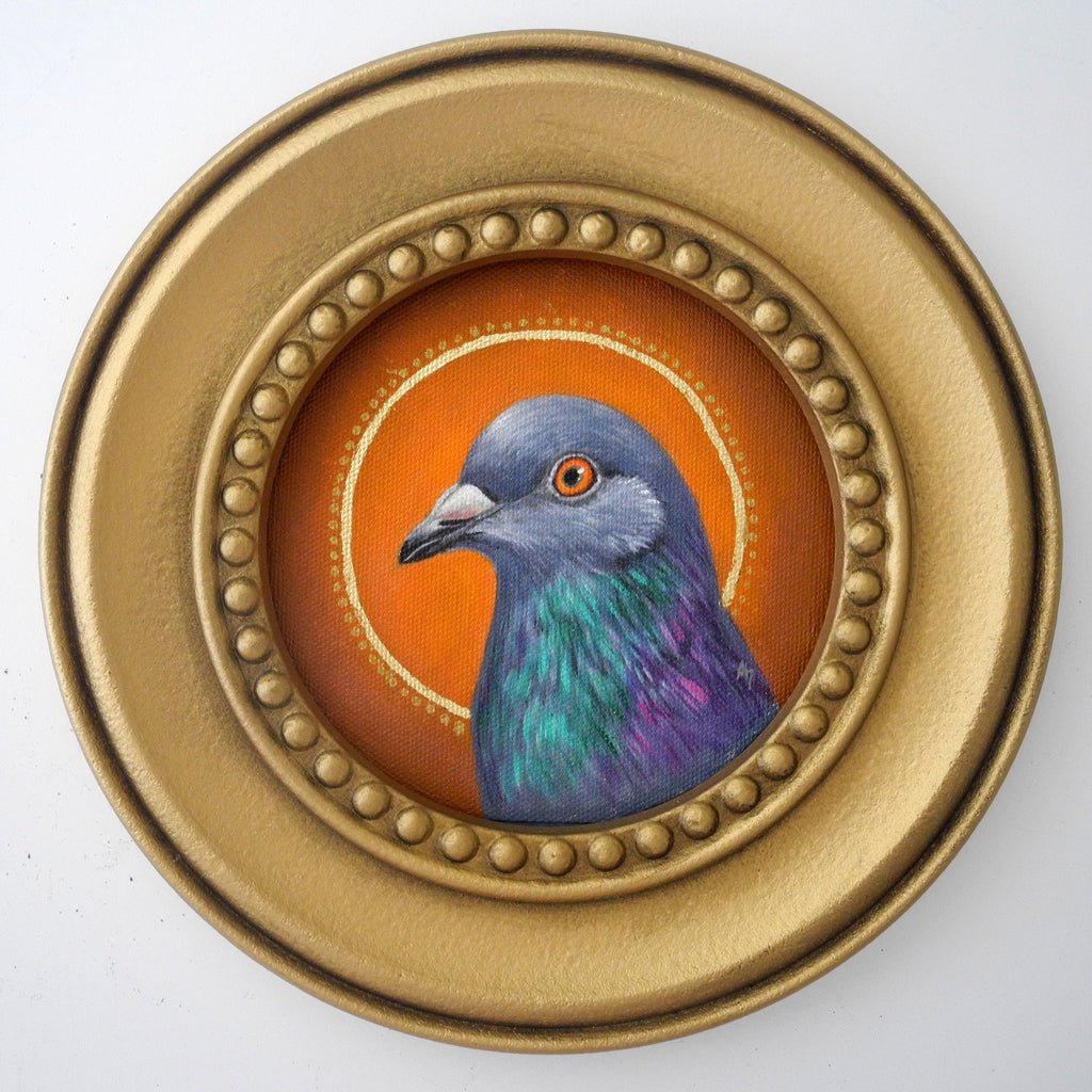 Circle Saint Pigeon