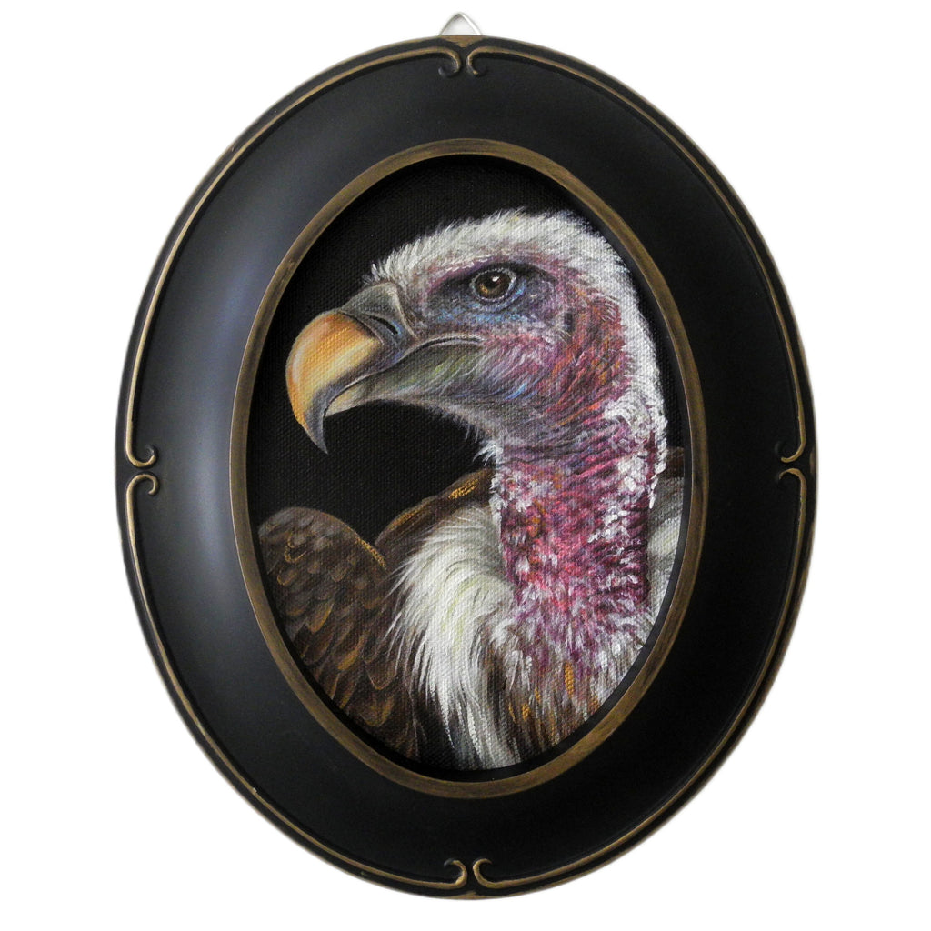 Vulture Cameo 5x7