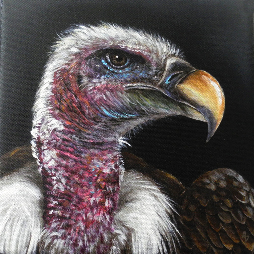 Vulture Roundel