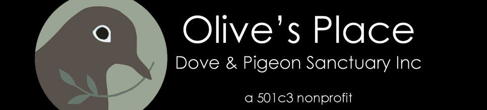 Olive's Place