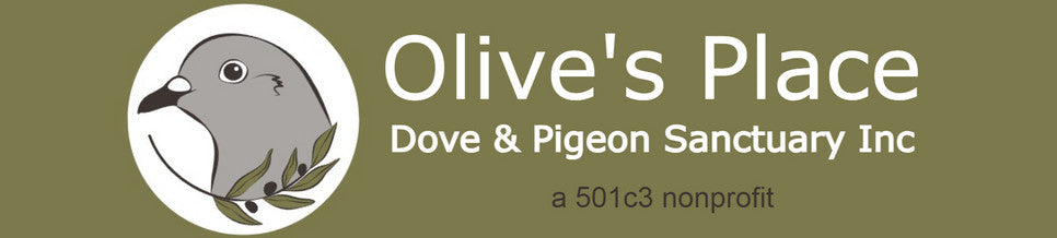 Olive's Place