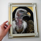 Vulture