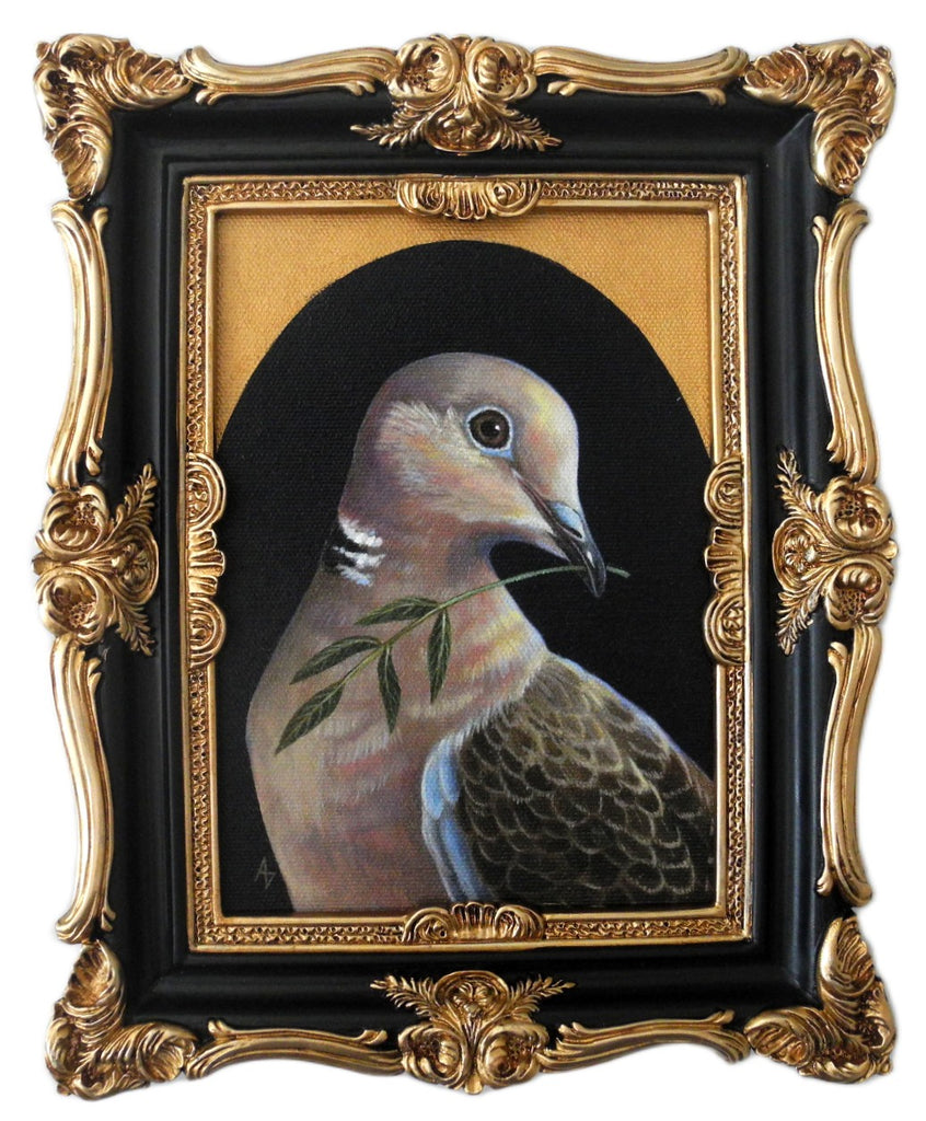 Collared Dove of Peace