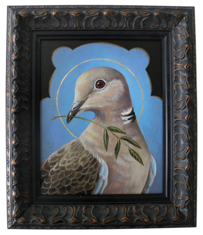 Collared Dove of Peace