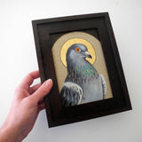 Pigeon Saint 1