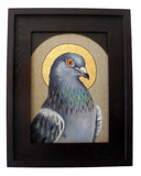 Pigeon Saint 1