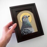 Pigeon Saint 5