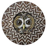 Barred Owl