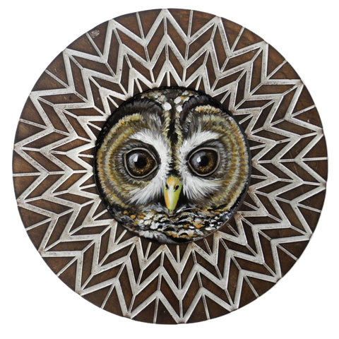 Barred Owl