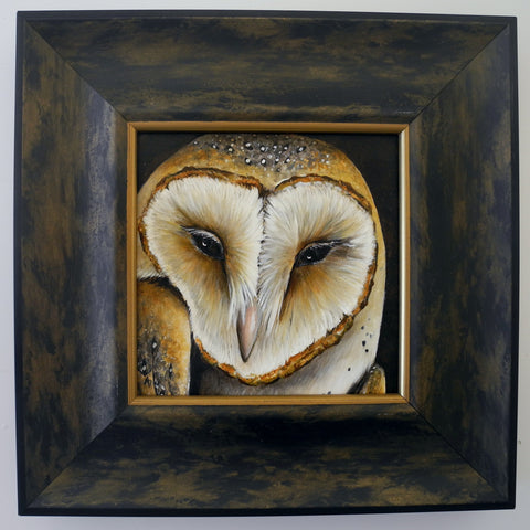 Barn Owl