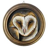 Barn Owl round