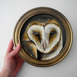 Barn Owl round