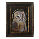 Barn Owl Saint