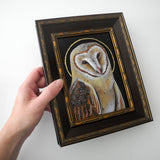 Barn Owl Saint