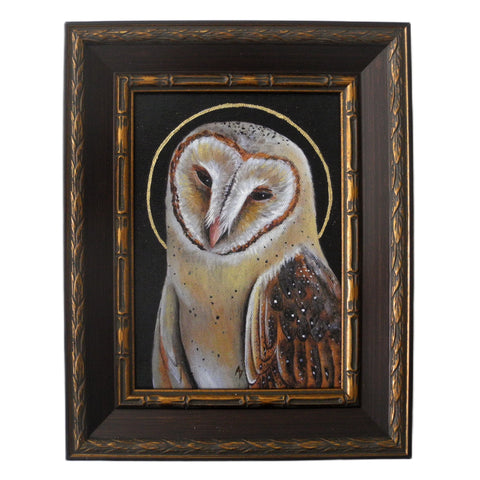 Barn Owl Saint B