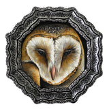 Barn Owl octagon