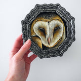 Barn Owl octagon