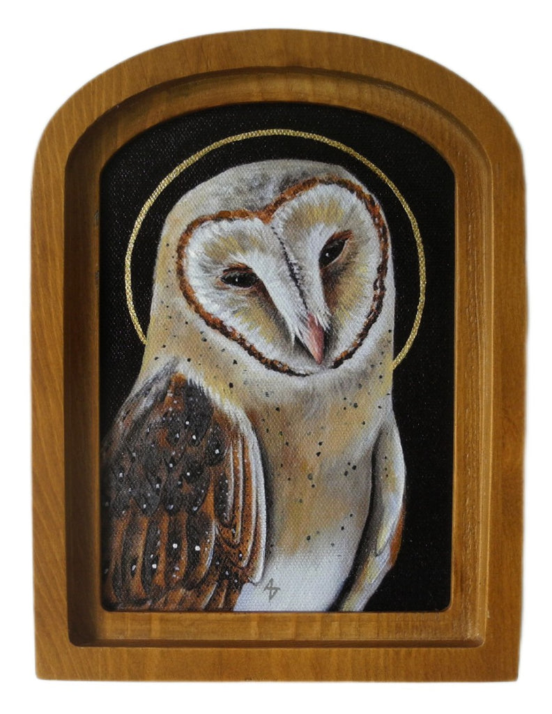 Alcove Barn Owl