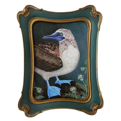 Blue Footed Booby 5x7