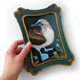 Blue Footed Booby 5x7