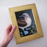 Blue Footed Booby