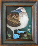 Blue Foot Booby
