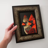 Cardinals 5x7