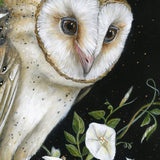 nocturnal barn owl art with moonflower vines, original painting