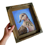 Collared Dove of Peace 8x10