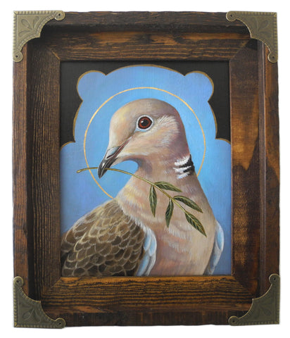 Collared Dove of Peace
