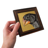 Galapagos Finch SET OF 4