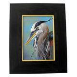 Great Blue Heron 5x7