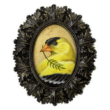 Goldfinch 5x7