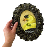 Goldfinch 5x7