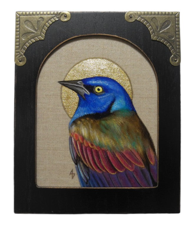Alcove Grackle