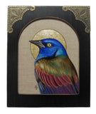Alcove Grackle