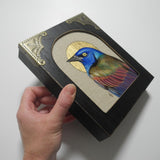 Alcove Grackle