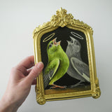 Green Finch and Shadow