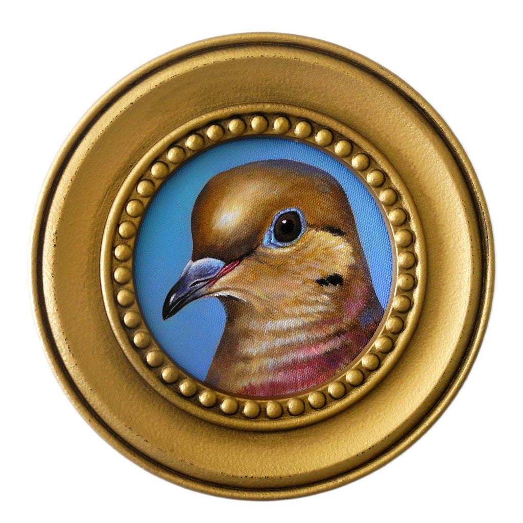 Mourning Dove on Blue