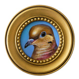 Mourning Dove on Blue