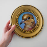 Mourning Dove on Blue