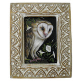 Moonlight Hunter Owl 5x7